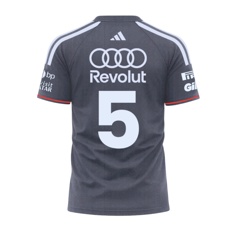 Camiseta Dryfit Gabriel Bortoleto Audi 2026 Cinza